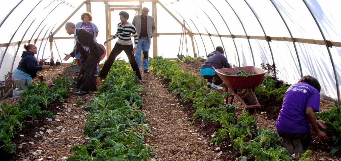 Su Casa Market Garden