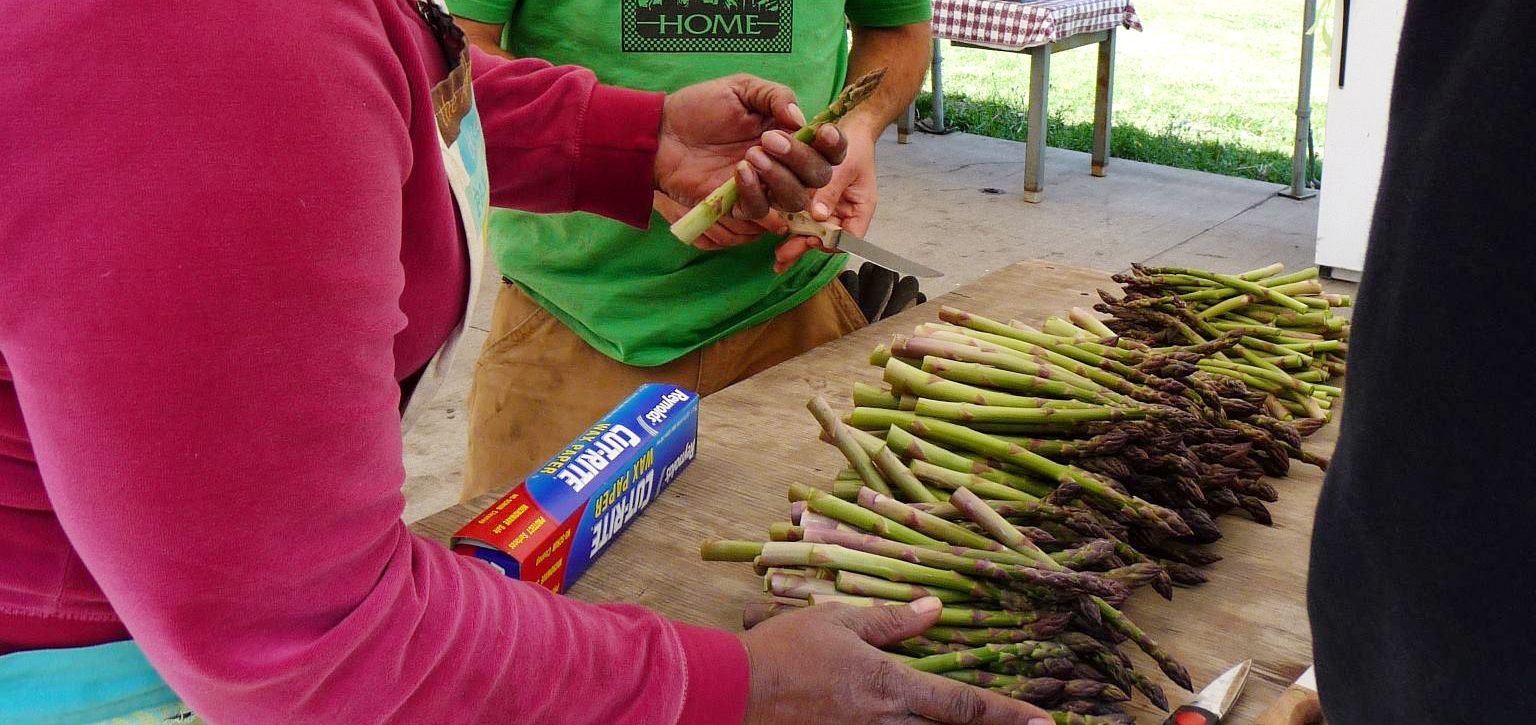 Honore Street Urban Farm